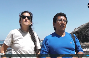 Peruvian Fishing community on Sustainable community based fishing & passive onshore kelp