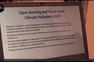 MOTHER CHANNEL | COP 23 INTERNATIONAL CRYOSPHERE CLIMATE INITIATIVE INTERVIEW