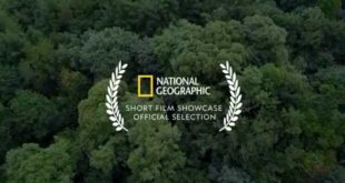 MOTHER CHANNEL | National Geographic Forest Plants