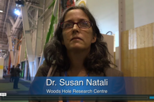 Mother Channel – www.motherchannel.com - COP21 - Dr Susan Natali