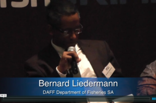 Mother Channel – www.motherchannel.com - Fish Crimes