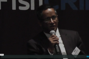 Mother Channel – www.motherchannel.com - Fish Crimes