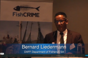 Mother Channel – www.motherchannel.com - Fish Crimes