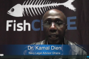 Mother Channel – www.motherchannel.com - Fish Crimes