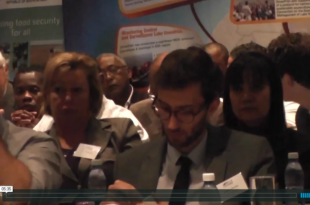 Mother Channel – www.motherchannel.com - Fish Crimes