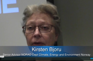 Mother Channel – www.motherchannel.com - Fish Crimes