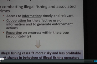 Mother Channel – www.motherchannel.com - Fish Crimes