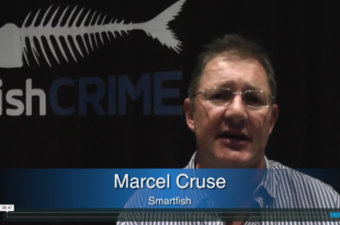 Mother Channel – www.motherchannel.com - Fish Crimes