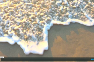 Mother Channel – www.motherchannel.com - Fish Crimes