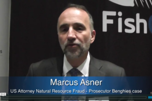 Mother Channel – www.motherchannel.com - Fish Crimes