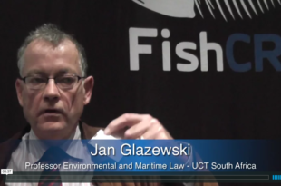 Mother Channel – www.motherchannel.com - Fish Crimes