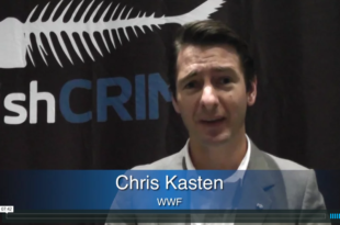 Mother Channel – www.motherchannel.com - Fish Crimes