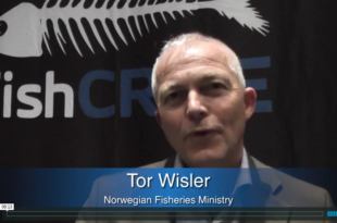 Mother Channel – www.motherchannel.com - Fish Crimes