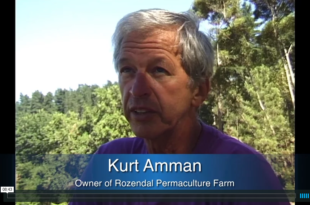 Mother Channel – www.motherchannel.com - Permaculture - Kurt Amman - Rozendal