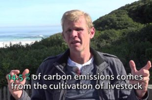 ENN - Jason Sole Update 22 June