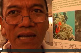 Mother Channel www.motherchannel.com COP 13 Global Peatland Fires & CO2 Emissions