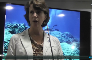 COP 20 - Lima - Ocean Acidification - Libby Jewett Image