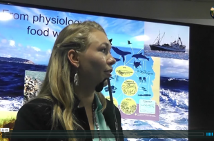 COP 20 - Lima Peru - Natalya Gallo Image