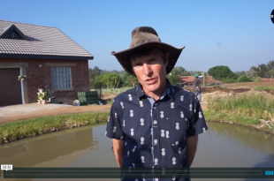 Jacques Damhuis - Permaculture Organic Expert