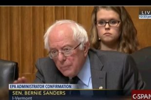 Bernie Sanders Grills Scott Pruit Image