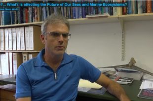 Proffesor Colin Attwood Image