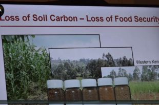 Mother Channel | COP23 SOIL FOR CARBON SEQUESTRATION CORNELL UNIVERSITY