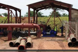 Mother Channel | COP 23 | Green Growth in Sierra Leone