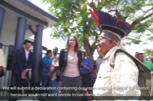 Mother Channel | COP23 | South Suriname Conservation Corridor ENG