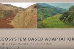 john d liu - green gold - image