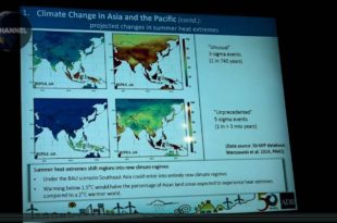 MOTHER CHANNEL | COP 23 CITIES TRANSITIONING TO CARBON FREE