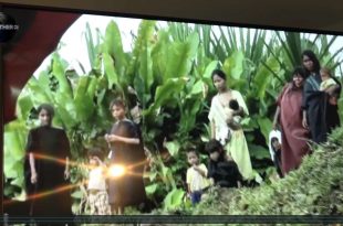 MOTHER CHANNEL | COP 23 LIVESTOCK BIOSEQUESTRATION FORESTS