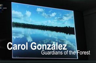 Mother CHannel | COP 23 DAY 12 The Story of Carol Gonzalez