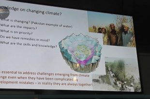 Mother Channel | COP 23 DAY 12 SLAPP’s