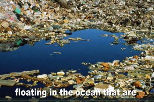 Mother Channel | Micro Plastics