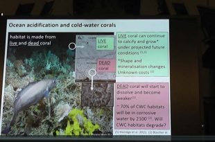 Mother Channel | Oceans In Crisis Dr C Turley