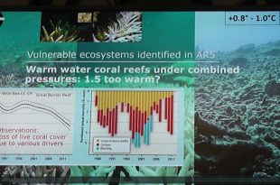 Mother Channel | Oceans in Crisis Dr F Gaill