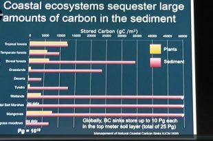 Mother Channel | Oceans in Crisis: Dr V Ryabinin