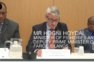 MOTHER CHANNEL | LARGE OCEAN NATIONS FORUM 2018 PART 1