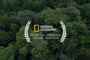 MOTHER CHANNEL | National Geographic Forest Plants