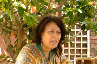 Feminine Africa Voices