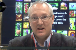 MOTHER CHANNEL | COP 25 DAY 6: ACT - ACTION by CHURCHES TOGETHER