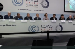 Mother Channel | COP 25