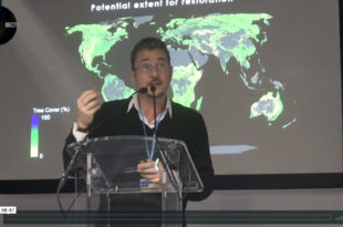 MOTHER CHANNEL | COP 25 REFORESTATION